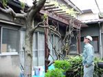 現場調査